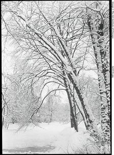 Snowscape, Berlin, 1888/92. Creator: Alfred Stieglitz