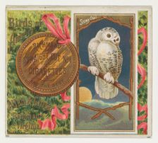 Snowy Owl, from the Birds of America series (N37) for Allen & Ginter Cigarettes, 1888. Creator: Allen & Ginter