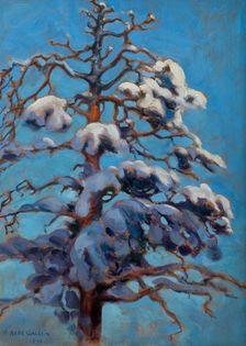 Snowy Pine Tree, 1899