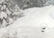 Snow, 1900. Creator: Fjaestad, Gustaf (1868-1948)