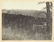 Snow and Timber Line, Medicine Bow Mountain, 1868/69. Creator: Andrew Joseph Russell