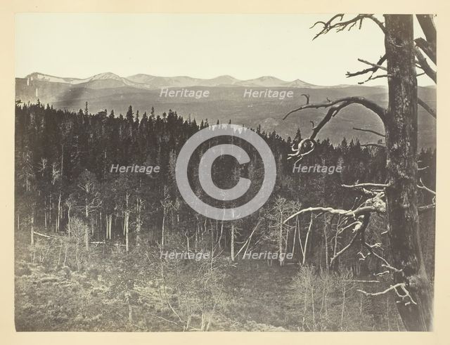 Snow and Timber Line, Medicine Bow Mountain, 1868/69. Creator: Andrew Joseph Russell.