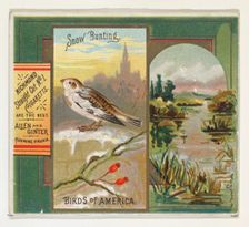 Snow Bunting, from the Birds of America series (N37) for Allen & Ginter Cigarettes, 1888. Creator: Allen & Ginter