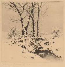Snow, c. 1910. Creator: George Elbert Burr