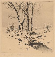 Snow, c. 1910. Creator: George Elbert Burr