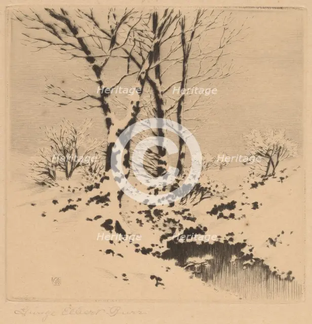 Snow, c. 1910. Creator: George Elbert Burr.