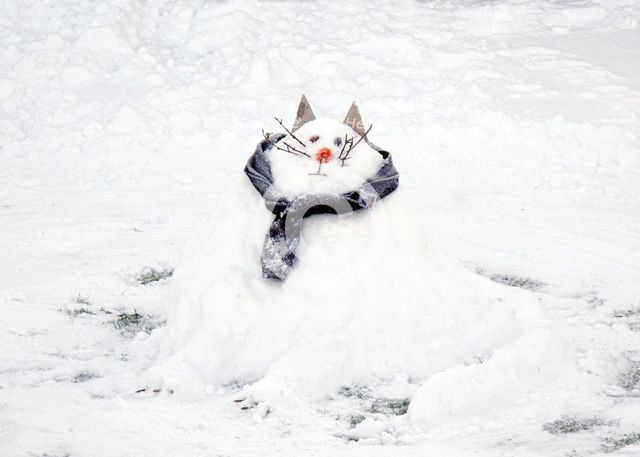 Snow cat, Northern Road, Swindon, 2010. Creator: Peter Williams.