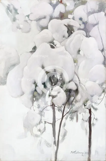 Snow-Covered Pine Saplings. Artist: Halonen, Pekka (1865-1933)