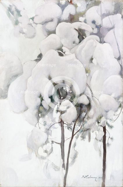 Snow-Covered Pine Saplings. Artist: Halonen, Pekka (1865-1933)