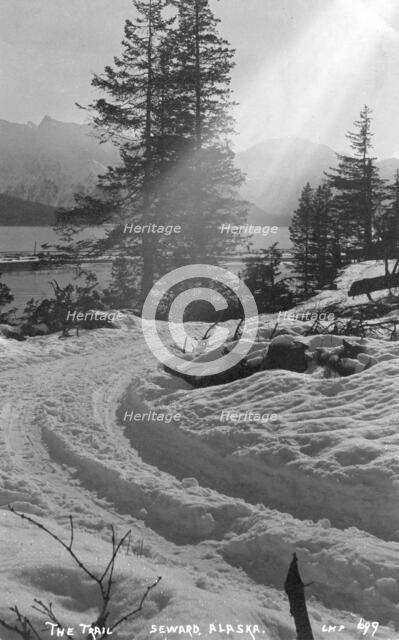 Snow covered trail, 1916. Creator: Unknown.