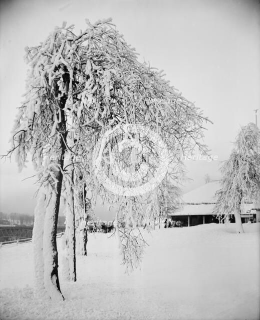 Snow studies, Prospect Park, Niagara, between 1880 and 1901. Creator: Unknown.