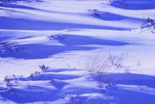 Snow surface on Rannoch Moor in February. c1000 ft. above sea, Argyll, Scotland, 20th century. Artist: CM Dixon