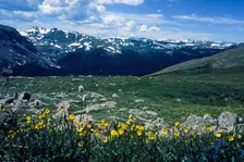 Sound of Music. Creator: Robert Manno