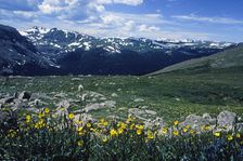 Sound of Music. Creator: Robert Manno