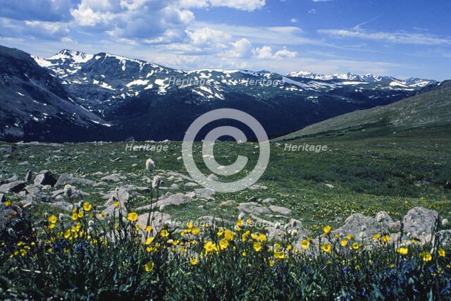 Sound of Music. Creator: Robert Manno.