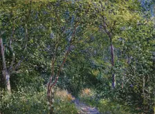 Sous-Bois
