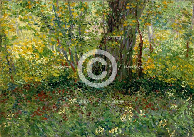 Sous-bois (Underwood), 1887. Creator: Gogh, Vincent, van (1853-1890).