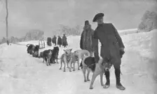 Sous la direction de notre consul en Alaska, que l'on voit ici la tete d'un attelage..., 1915 (1924 Creator: Unknown