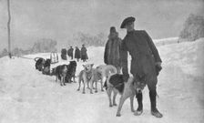 Sous la direction de notre consul en Alaska, que l'on voit ici la tete d'un attelage..., 1915 (1924 Creator: Unknown