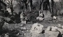 South Africa: African workers at a farm near Stellenbosch, 1905. Creator: Ada Cleland
