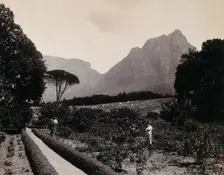 South Africa: Cecil Rhodes's garden near Devil's Peak in Johannesburg, 1896. Creator: Unknown