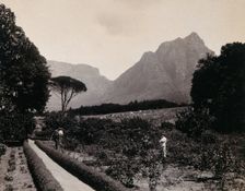 South Africa: Cecil Rhodes's garden near Devil's Peak in Johannesburg, 1896. Creator: Unknown