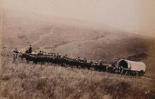 South Africa: landscape with people, a wagon and oxen in the foreground, 1896. Creator: Unknown