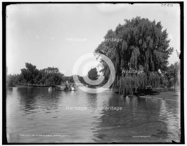 South end of lake in Public Garden, Boston, c1899. Creator: Unknown.