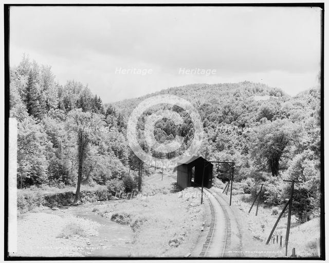 South near Gasset's i.e. Gassetts, Vt., between 1900 and 1906. Creator: Unknown.