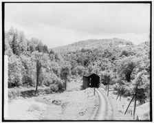 South near Gasset's i.e. Gassetts, Vt., between 1900 and 1906. Creator: Unknown