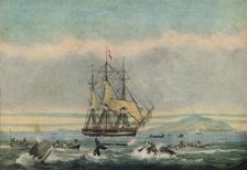 South Sea Whale Fishery 1825. Artist: Thomas Sutherland