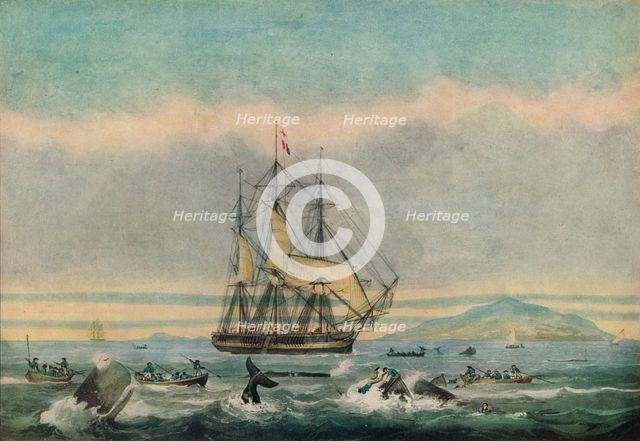 'South Sea Whale Fishery', 1825. Artist: Thomas Sutherland.