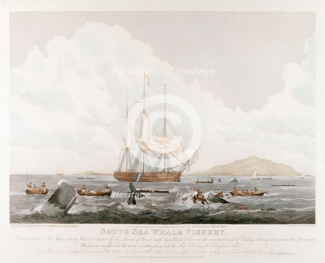 South Sea Whale Fishery, 1825. Artist: Unknown