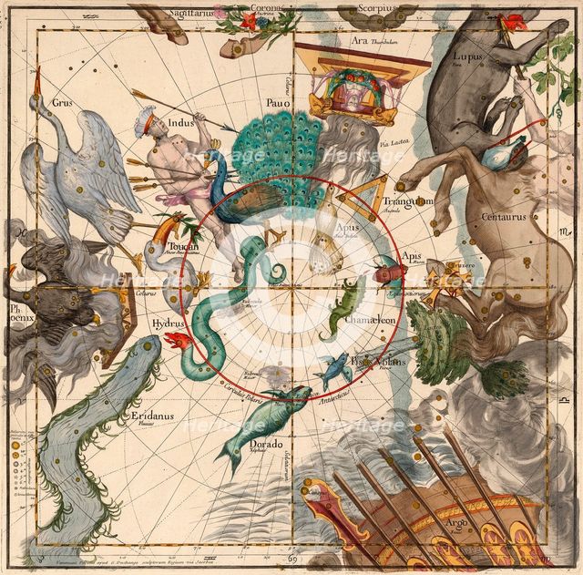 South Pole, Plate 6 from Globi coelestis in tabulas planas redacti descriptio, 1674. 