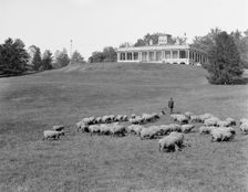 South terrace and Mansion, Druid Hill Park, Baltimore, Md., c1906. Creator: Unknown