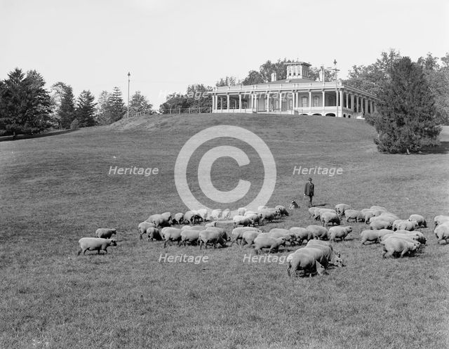 South terrace and Mansion, Druid Hill Park, Baltimore, Md., c1906. Creator: Unknown.