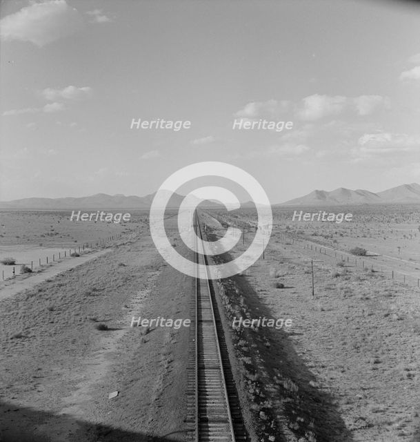 Southwestern New Mexico, 1938. Creator: Dorothea Lange.