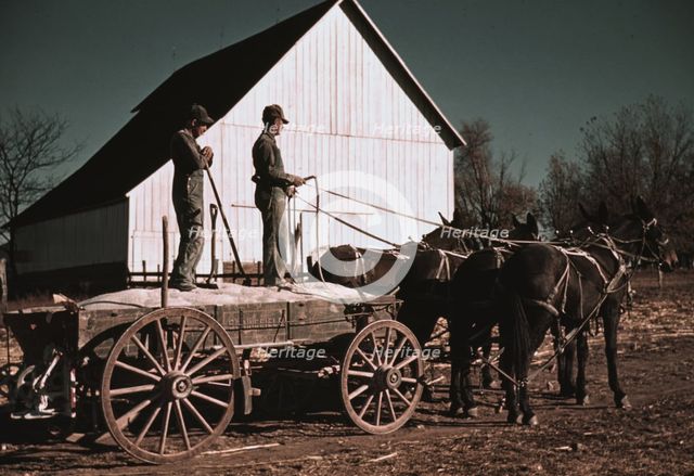 Southeastern Georgia?, ca. 1940. Creator: Marion Post Wolcott.