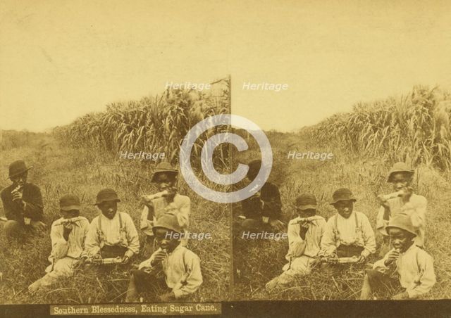 Southern blessedness, eating sugar cane, (1868-1900?). Creator: Unknown.