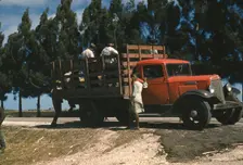 Southern U.S., Mississippi?, ca. 1940. Creator: Marion Post Wolcott