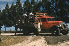 Southern U.S., Mississippi?, ca. 1940. Creator: Marion Post Wolcott
