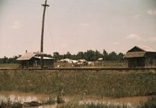 Southern U.S. ... Louisiana?, ca. 1940. Creator: Marion Post Wolcott