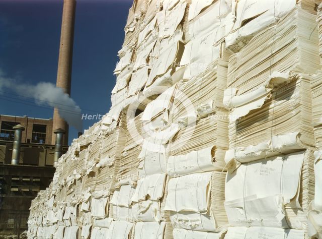 Southland Paper mill, Kraft (chemical) pulp used in making newsprint, Lufkin, Texas, 1943. Creator: John Vachon.