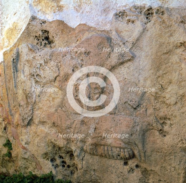Sow-and-piglets relief from Malta. Artist: Unknown