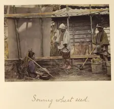 Sowing Wheat Seed, about 1873-1883. Creator: Shinichi Suzuki I
