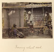 Sowing Wheat Seed, about 1873-1883. Creator: Shinichi Suzuki I