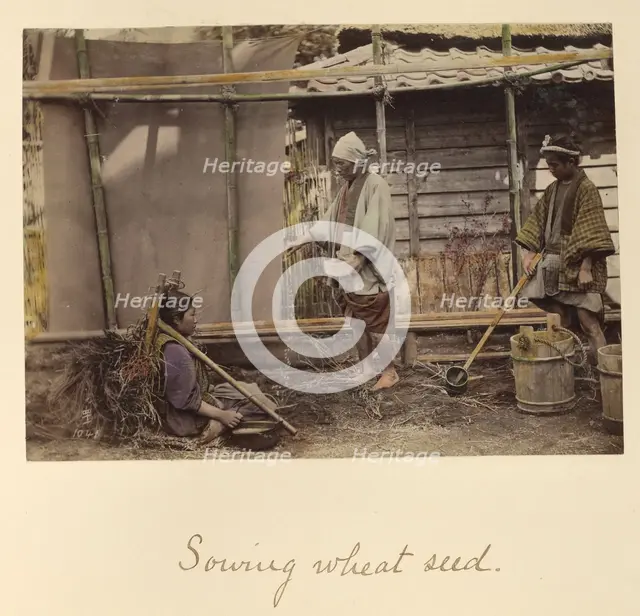 Sowing Wheat Seed, about 1873-1883. Creator: Shinichi Suzuki I.