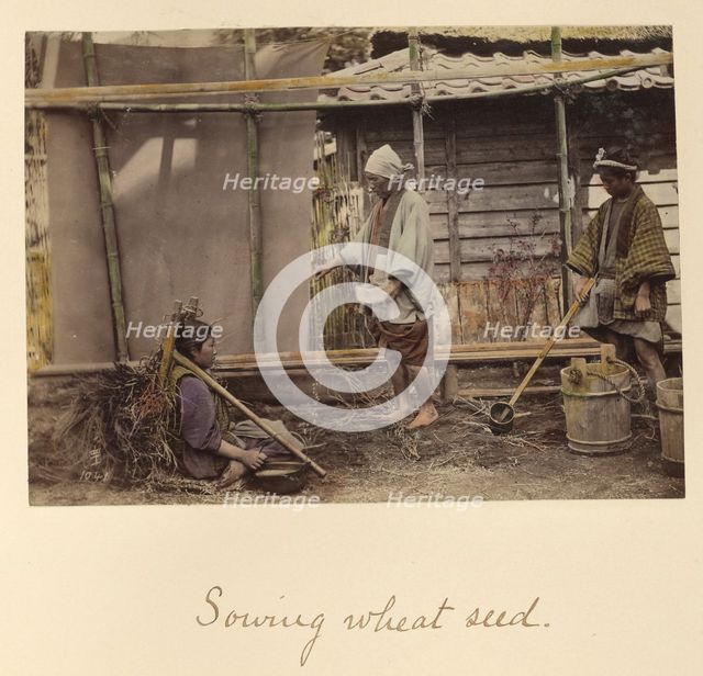 Sowing Wheat Seed, about 1873-1883. Creator: Shinichi Suzuki I.