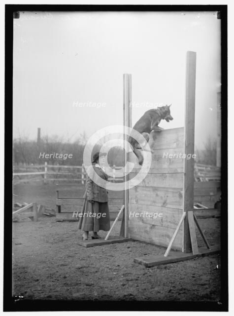 Society circus, between 1909 and 1923. Creator: Harris & Ewing.