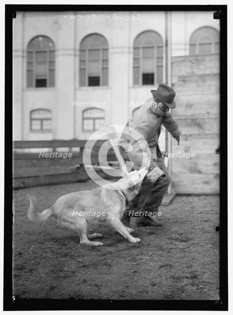 Society Circus, between 1909 and 1923. Creator: Harris & Ewing.